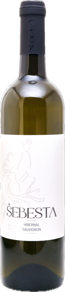 Vinnio Winery - Cuvée Hibernal + Sauvignon 2023