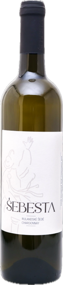 Vinnio Winery - Cuvée Rulandské šedé + Chardonnay 2023